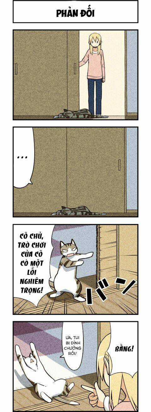 We Are Cat Chapter 13 trang 4