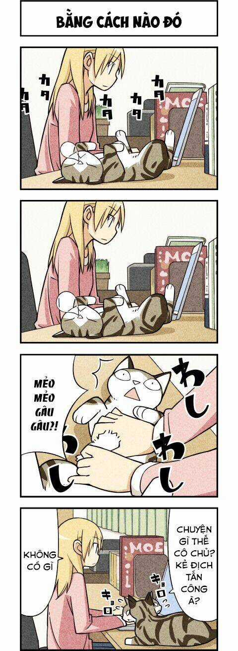 We Are Cat Chapter 13 trang 6