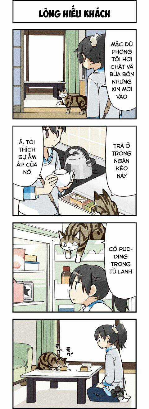 We Are Cat Chapter 14 trang 4