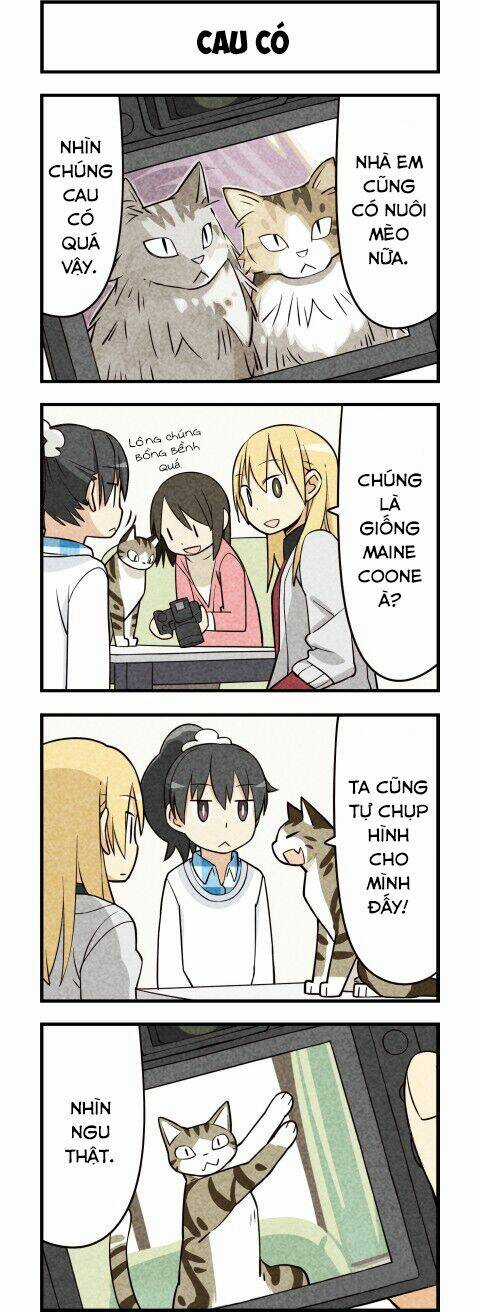 We Are Cat Chapter 15 trang 5