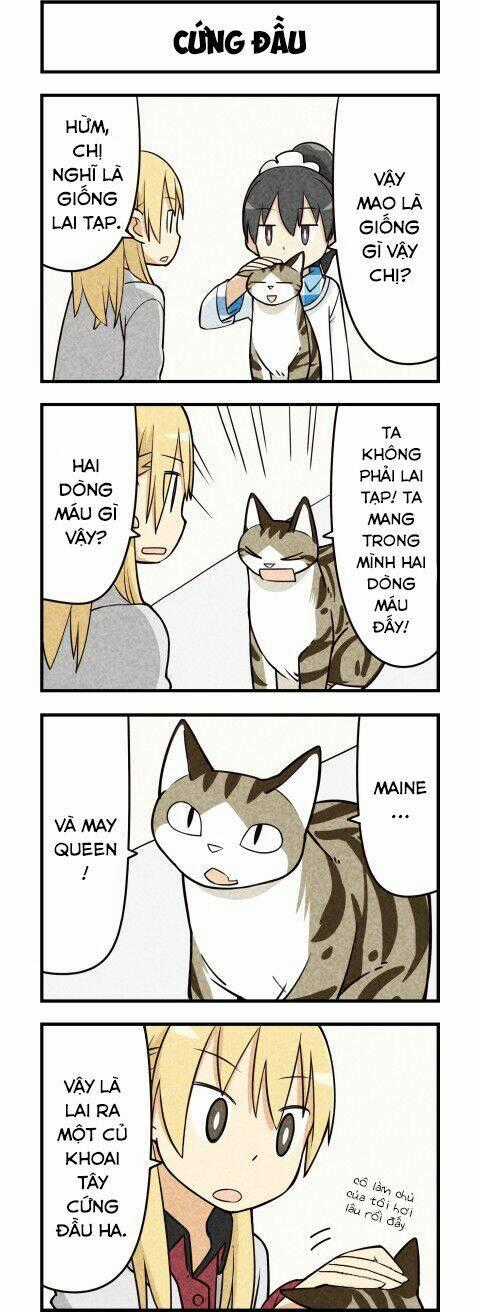 We Are Cat Chapter 15 trang 6