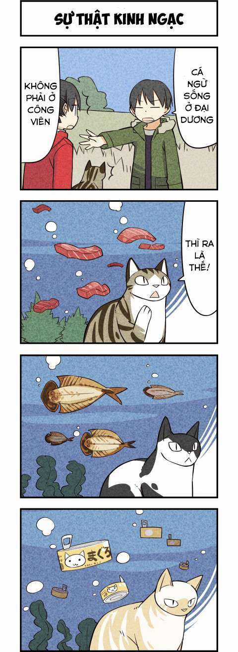 We Are Cat Chapter 16 trang 4