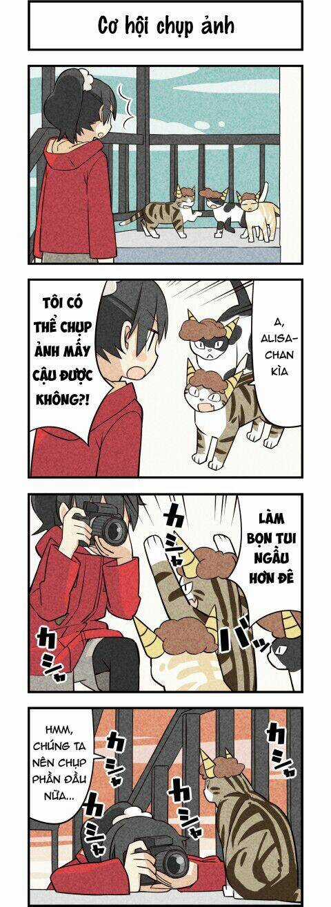 We Are Cat Chapter 17 trang 3