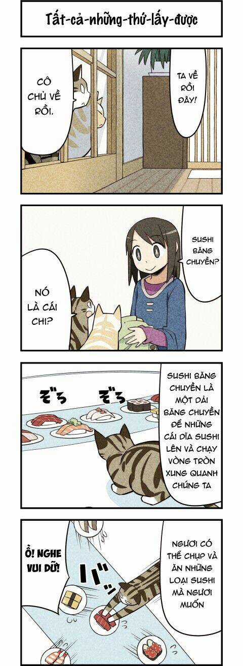 We Are Cat Chapter 18 trang 2