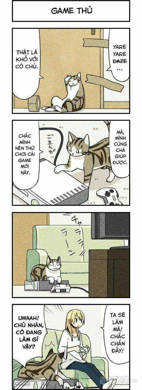 We Are Cat Chapter 2 trang 4