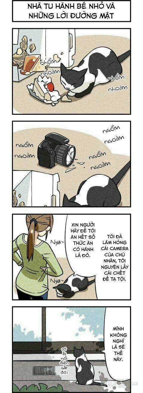 We Are Cat Chapter 3 trang 2