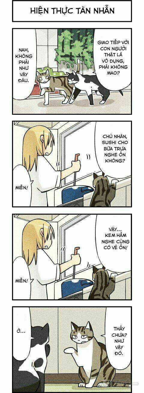 We Are Cat Chapter 3 trang 3