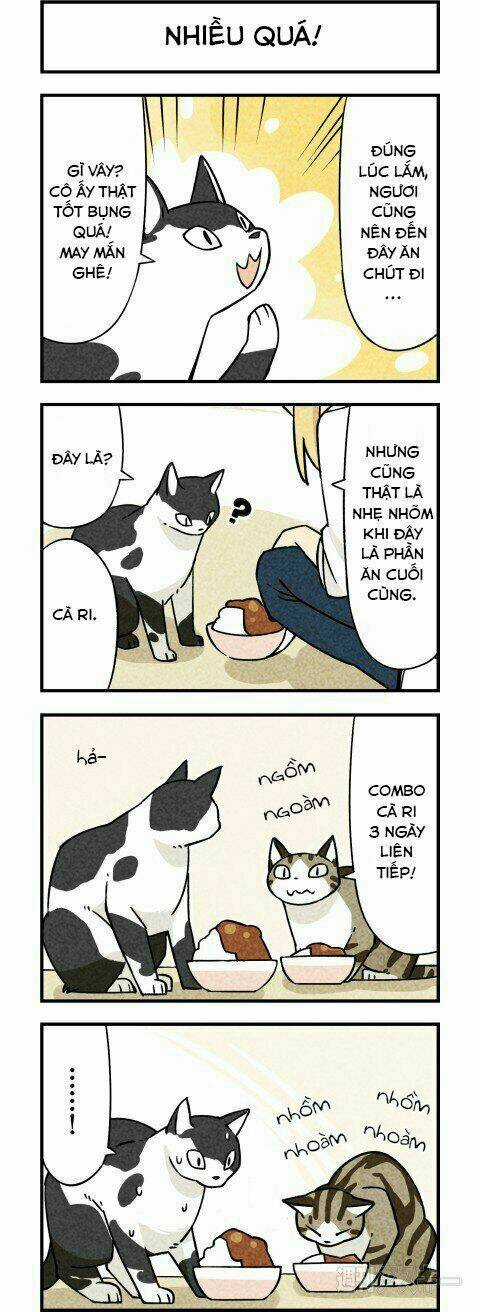 We Are Cat Chapter 3 trang 4