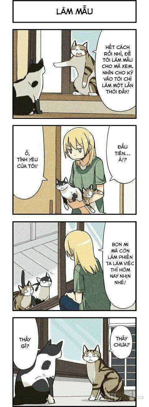 We Are Cat Chapter 5 trang 3