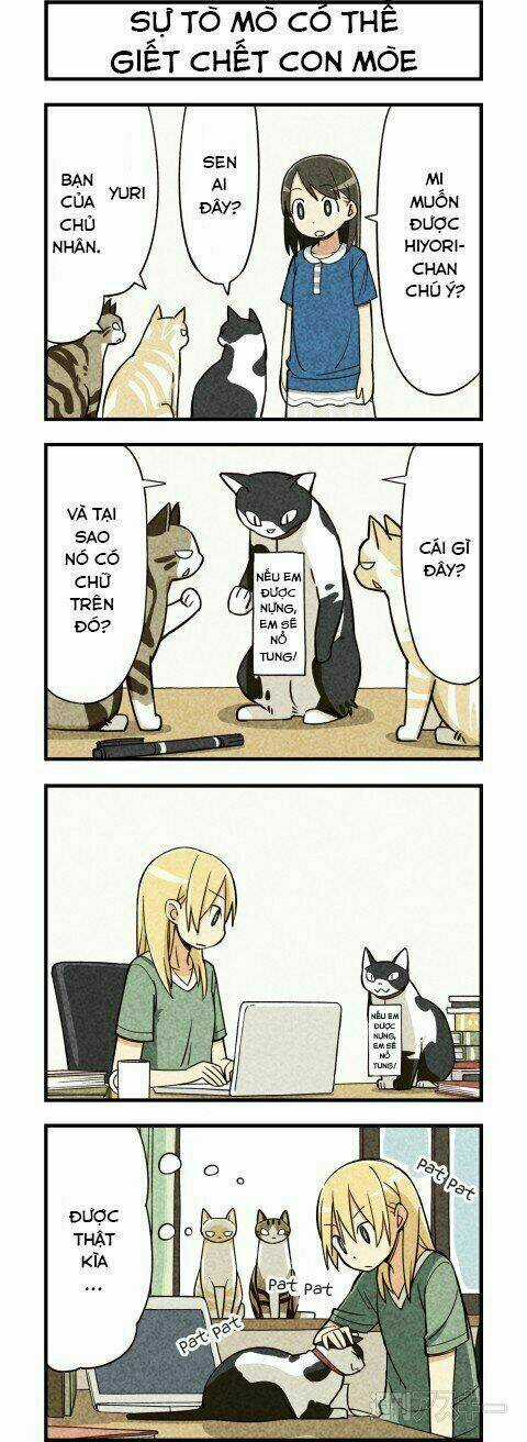 We Are Cat Chapter 5 trang 4