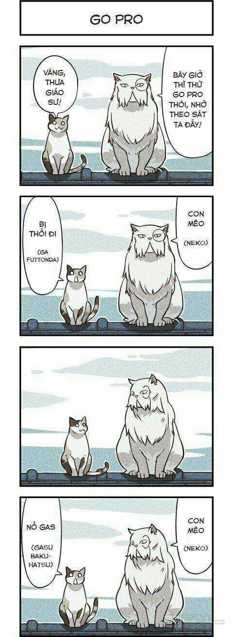 We Are Cat Chapter 6 trang 2