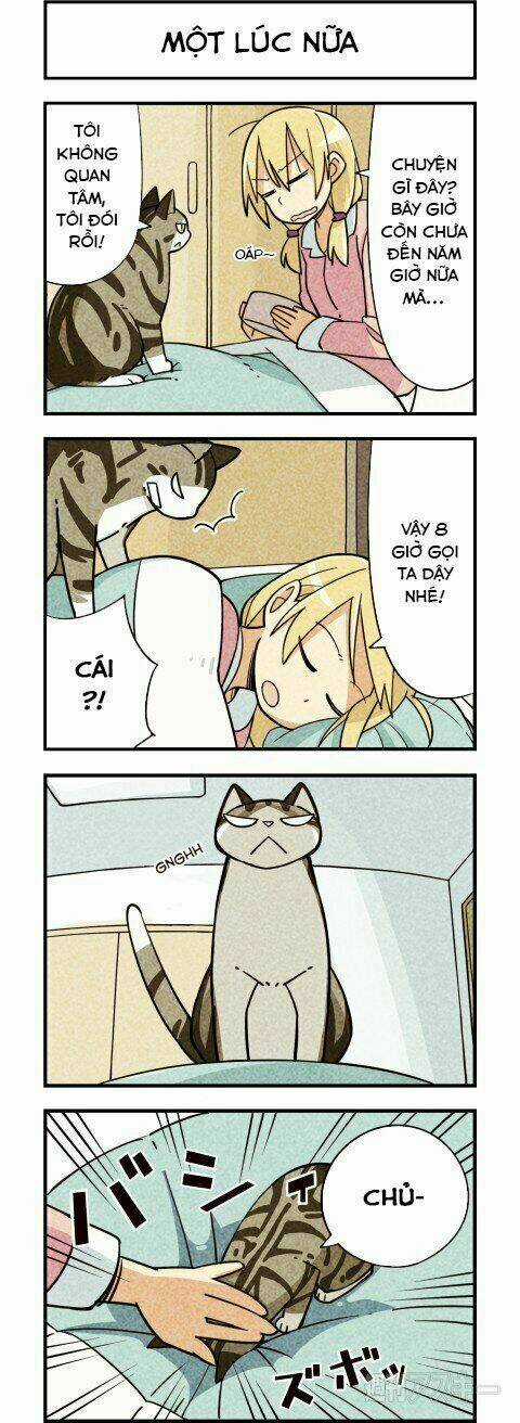 We Are Cat Chapter 7 trang 2