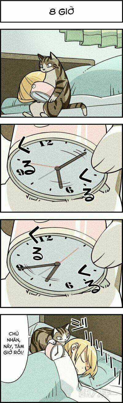 We Are Cat Chapter 7 trang 3