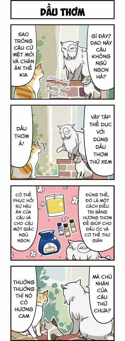 We Are Cat Chapter 9 trang 3