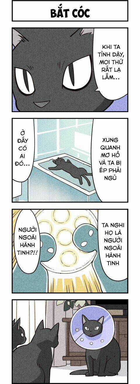 We Are Cat Chapter 9 trang 5