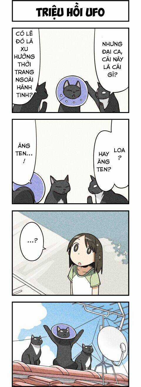 We Are Cat Chapter 9 trang 6