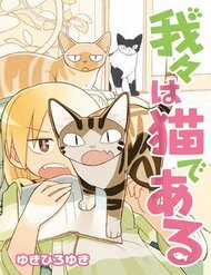 We Are Cat