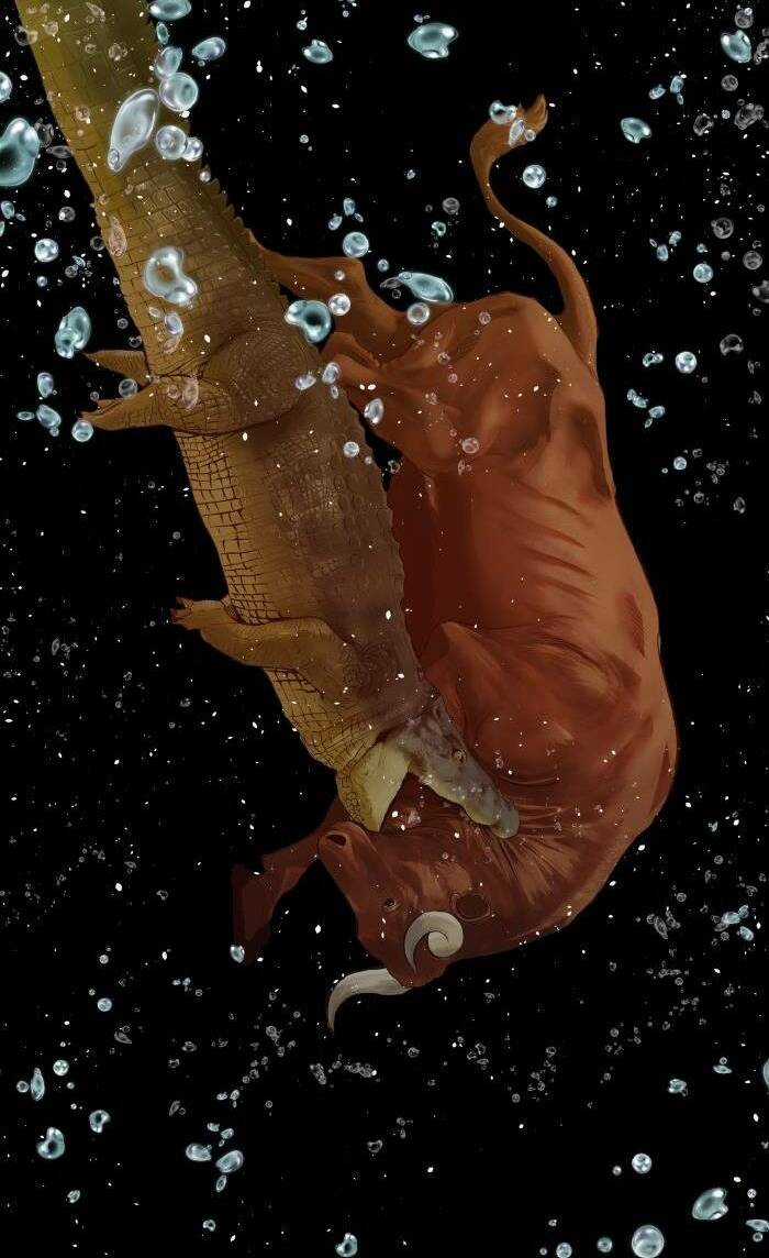 Weak Hero Chapter 224 trang 82