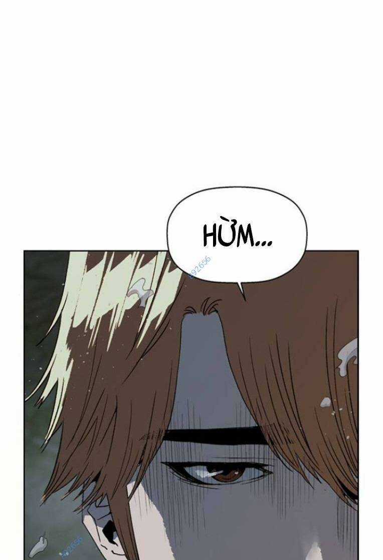 Weak Hero Chapter 242 trang 0
