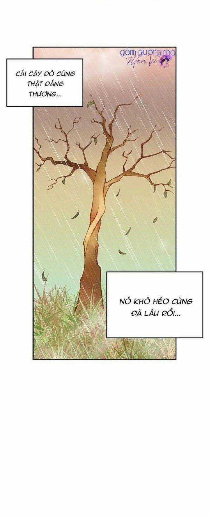 Wendy , Cô Gái Bán Hoa Chapter 10 trang 3