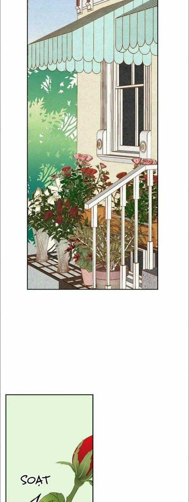 Wendy , Cô Gái Bán Hoa Chapter 11 trang 15