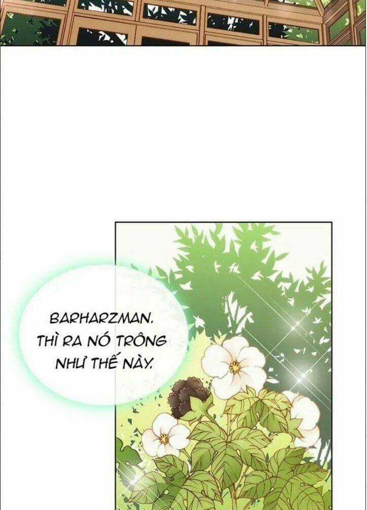 Wendy , Cô Gái Bán Hoa Chapter 4 trang 28