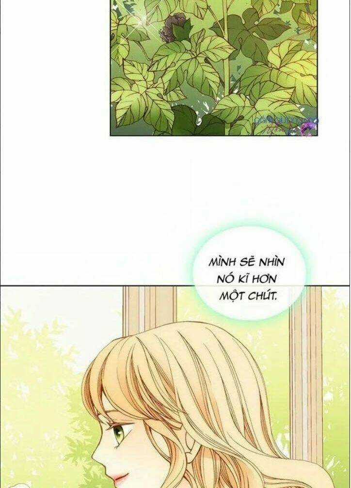 Wendy , Cô Gái Bán Hoa Chapter 4 trang 29