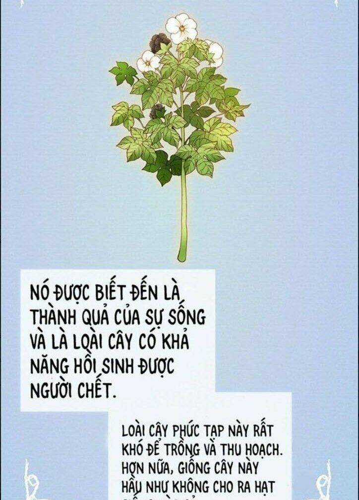 Wendy , Cô Gái Bán Hoa Chapter 4 trang 5