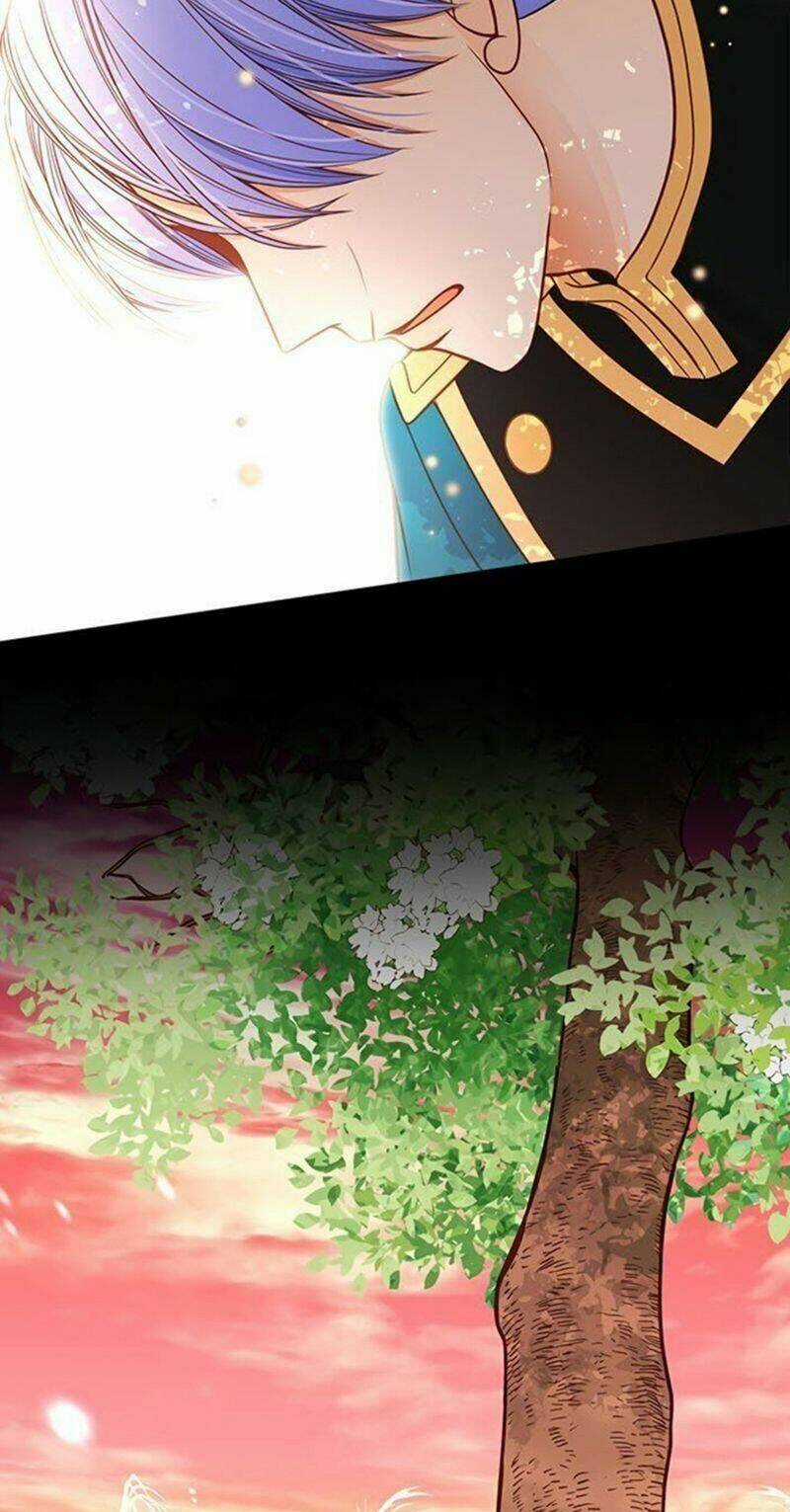 Wendy , Cô Gái Bán Hoa Chapter 41 trang 25