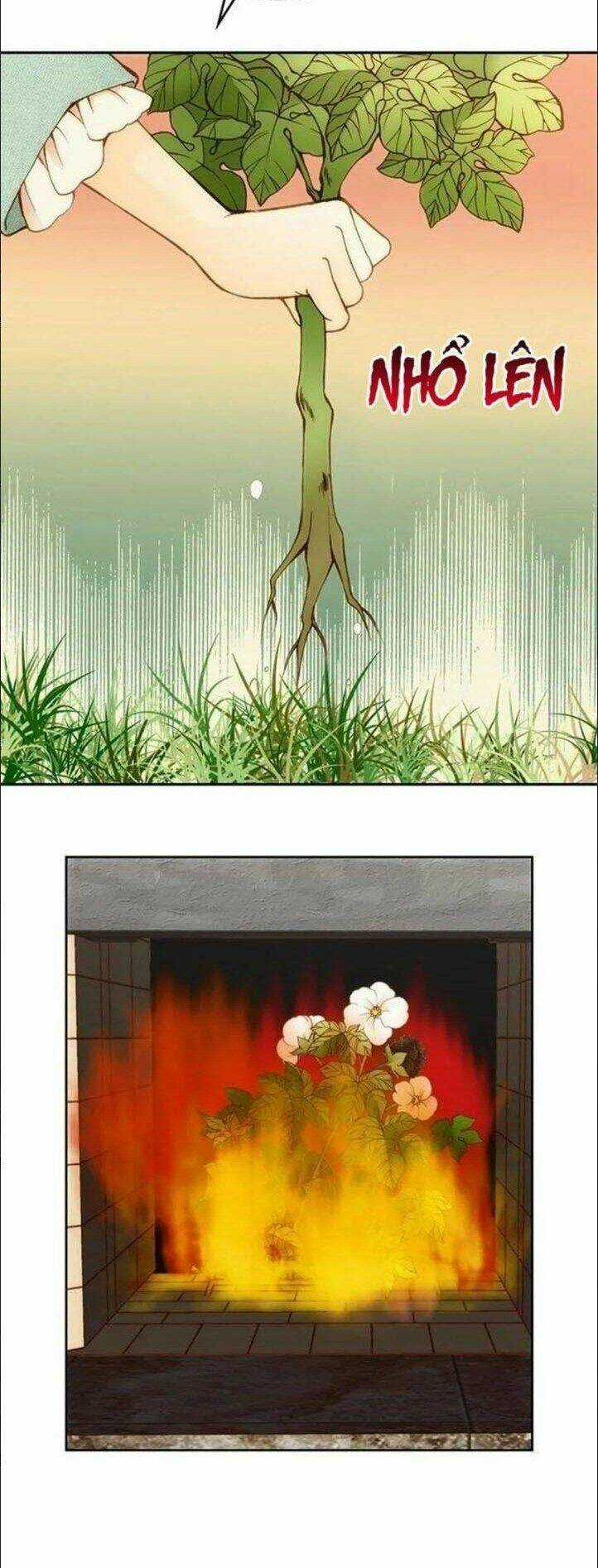 Wendy , Cô Gái Bán Hoa Chapter 7 trang 29