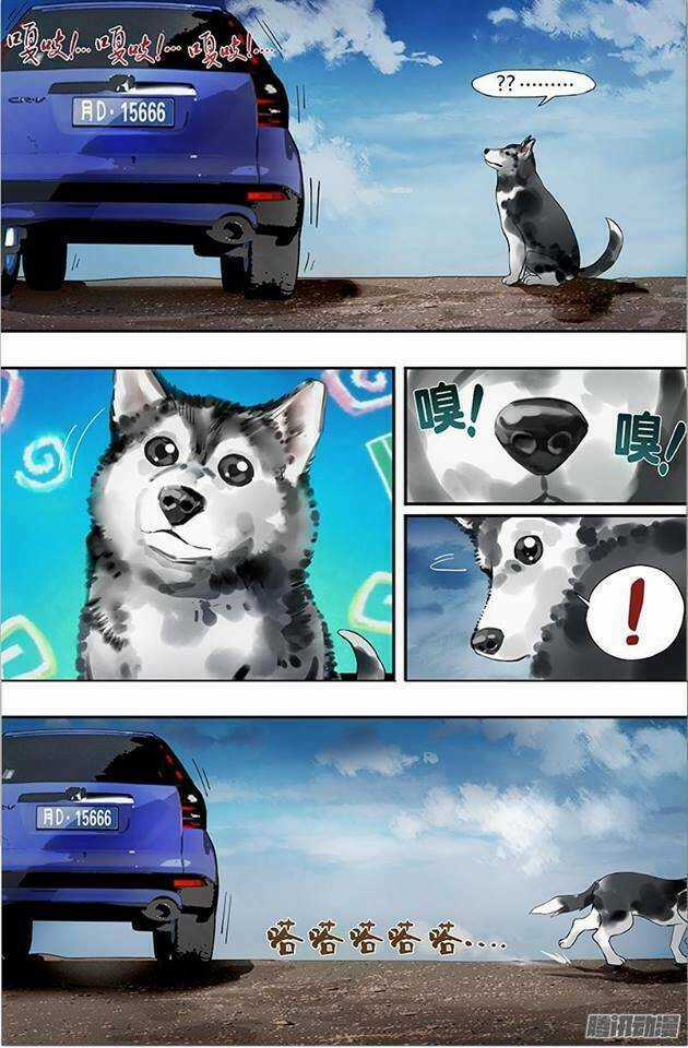 Were Wolf Chapter 13 trang 5