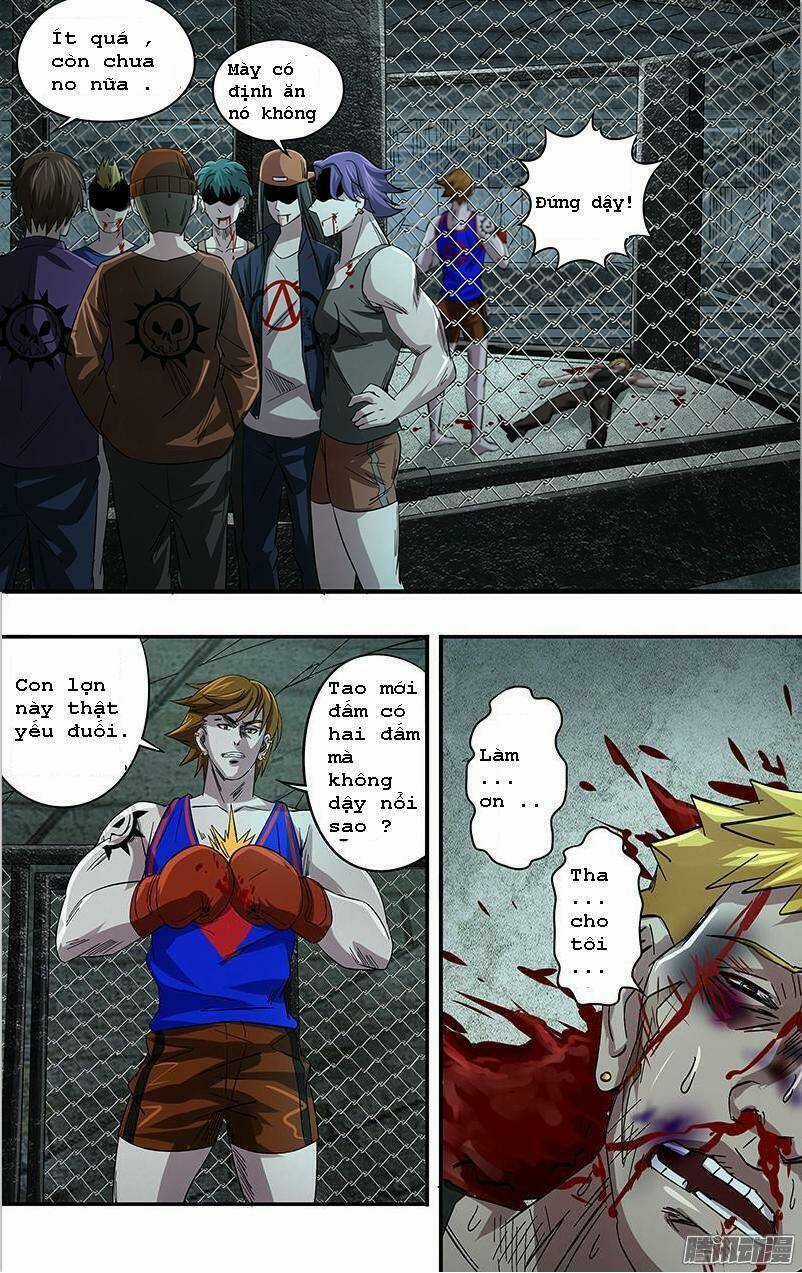 Were Wolf Chapter 74 trang 5