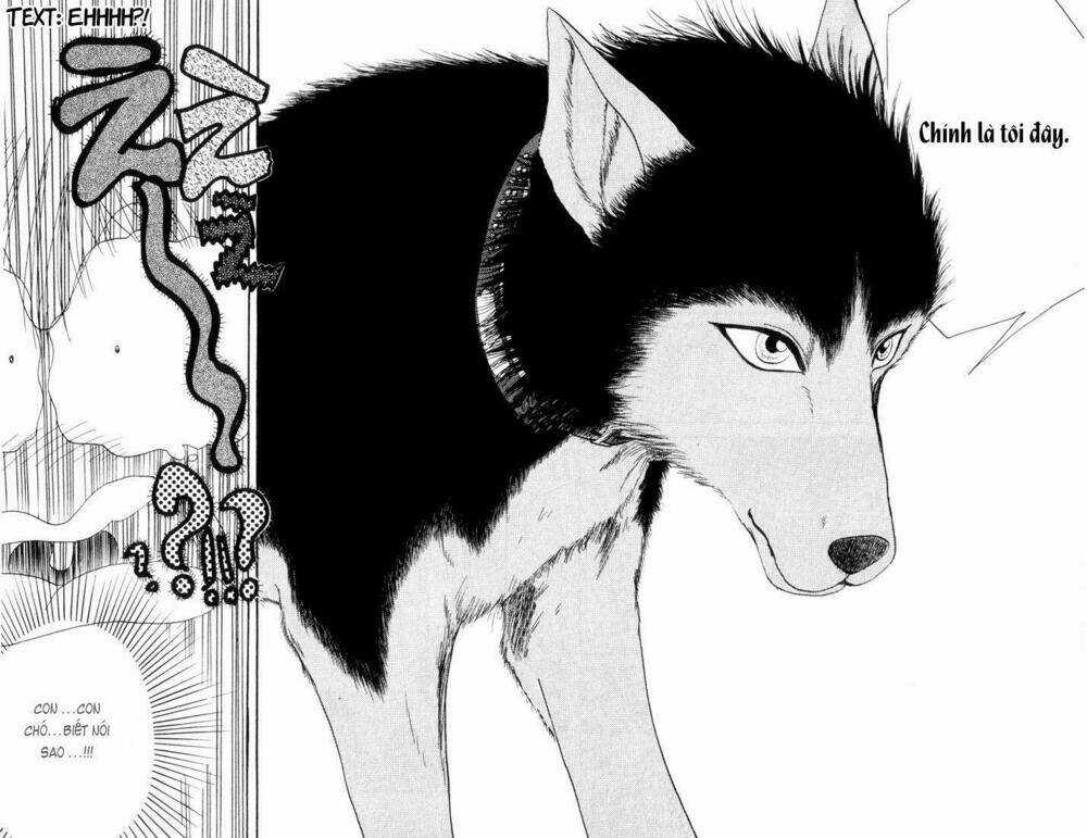 Wild Half Chapter 1 trang 26