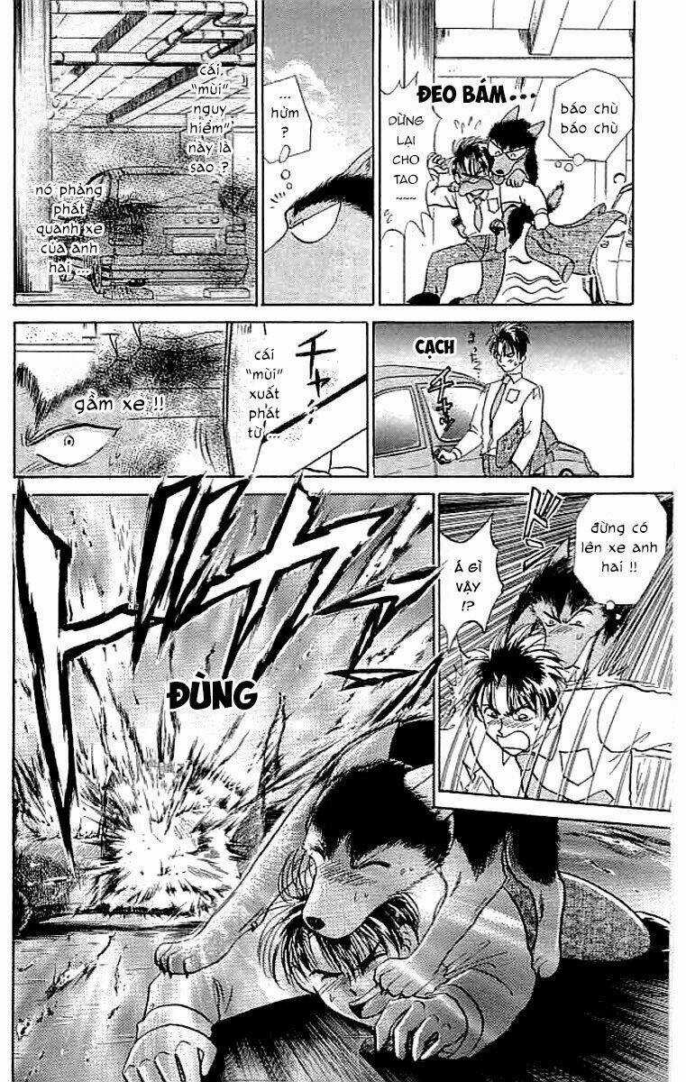 Wild Half Chapter 11 trang 5