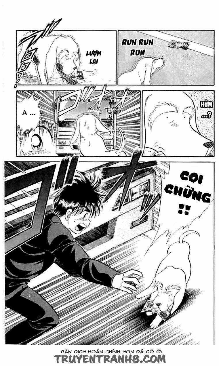 Wild Half Chapter 12 trang 14