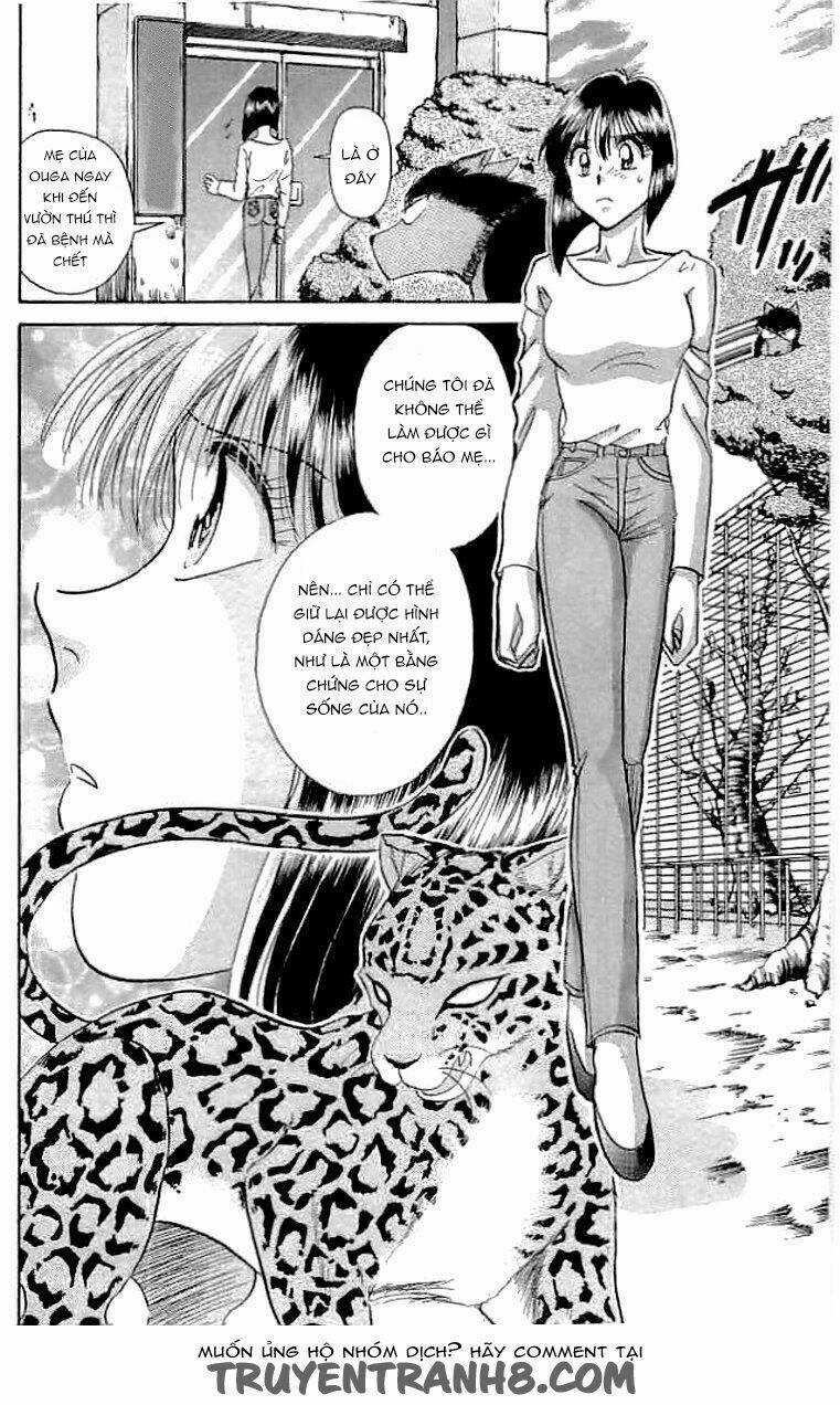 Wild Half Chapter 17 trang 6
