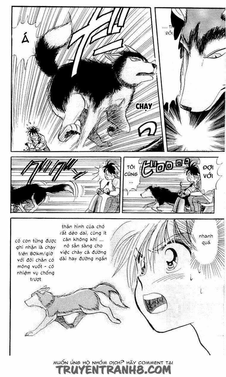 Wild Half Chapter 6.5 trang 11