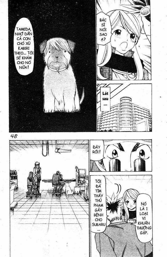 Wild Life Cuộc Sống Hoang Dã Chapter 103 trang 4