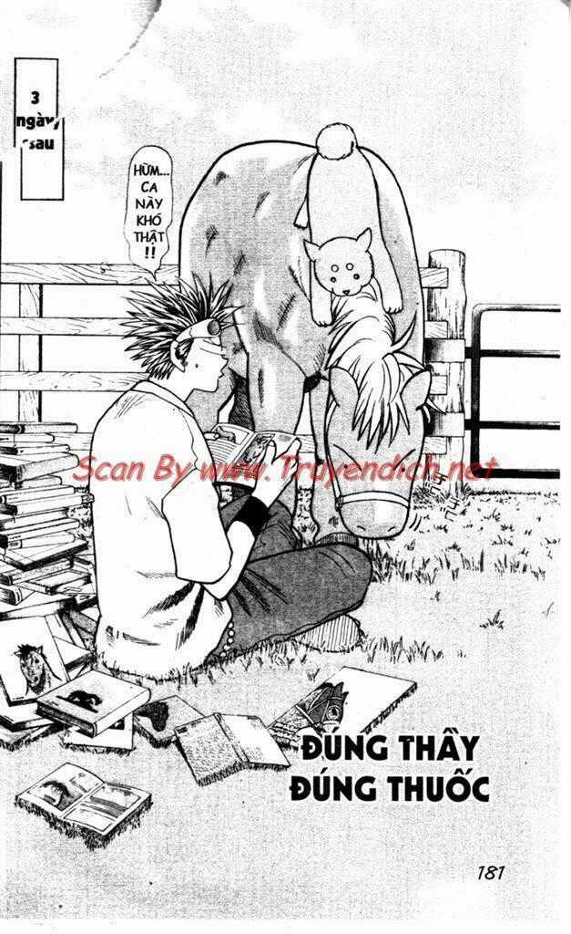 Wild Life Cuộc Sống Hoang Dã Chapter 62 trang 0