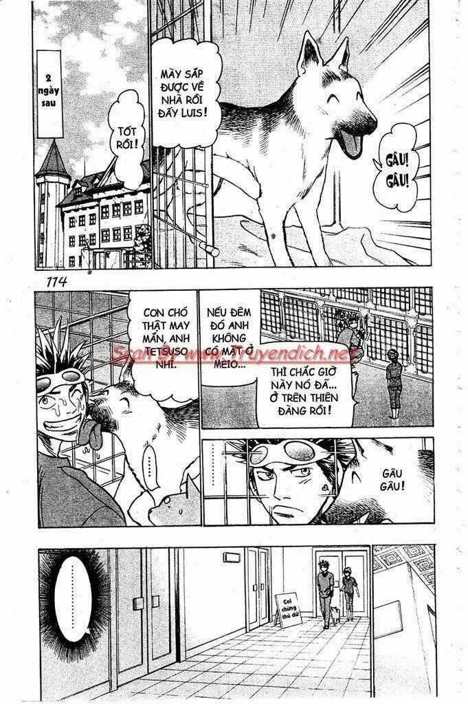 Wild Life Cuộc Sống Hoang Dã Chapter 74 trang 1