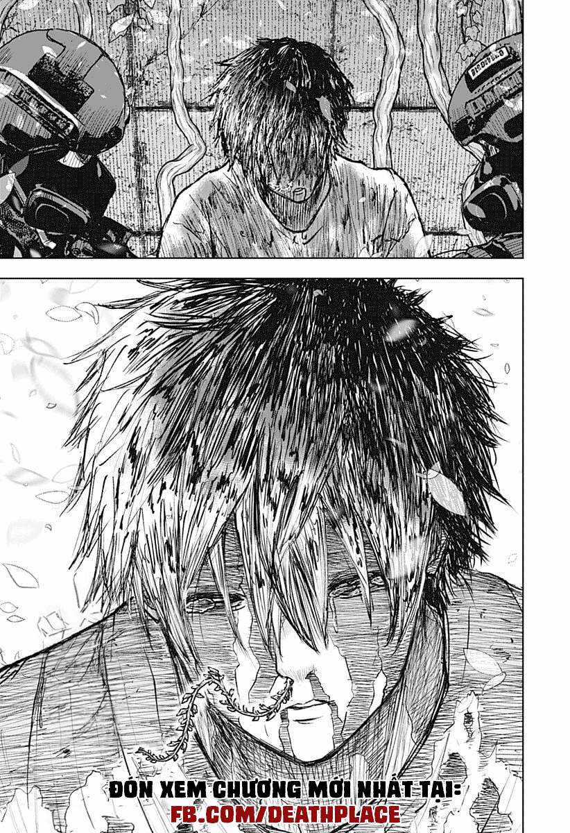 Wild Strawberry (Dpmanga) Chapter 1 trang 79