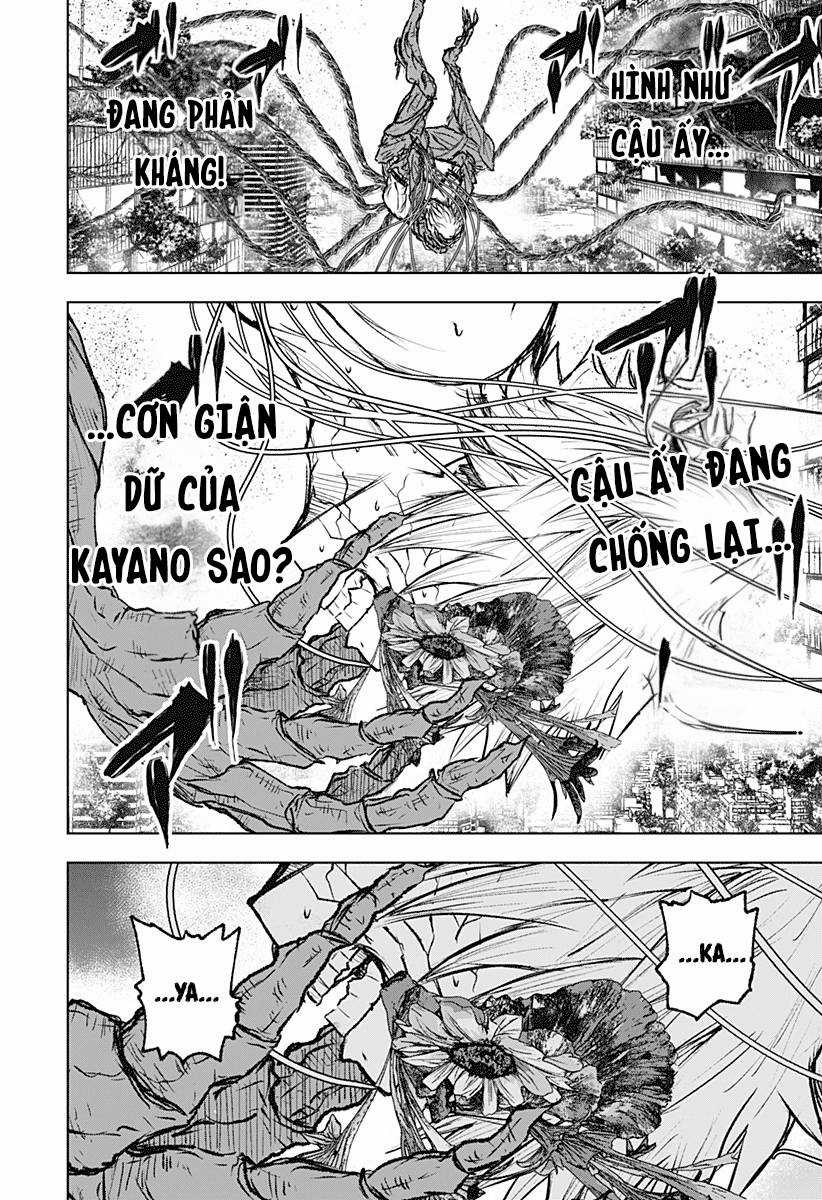 Wild Strawberry (Dpmanga) Chapter 5 trang 14