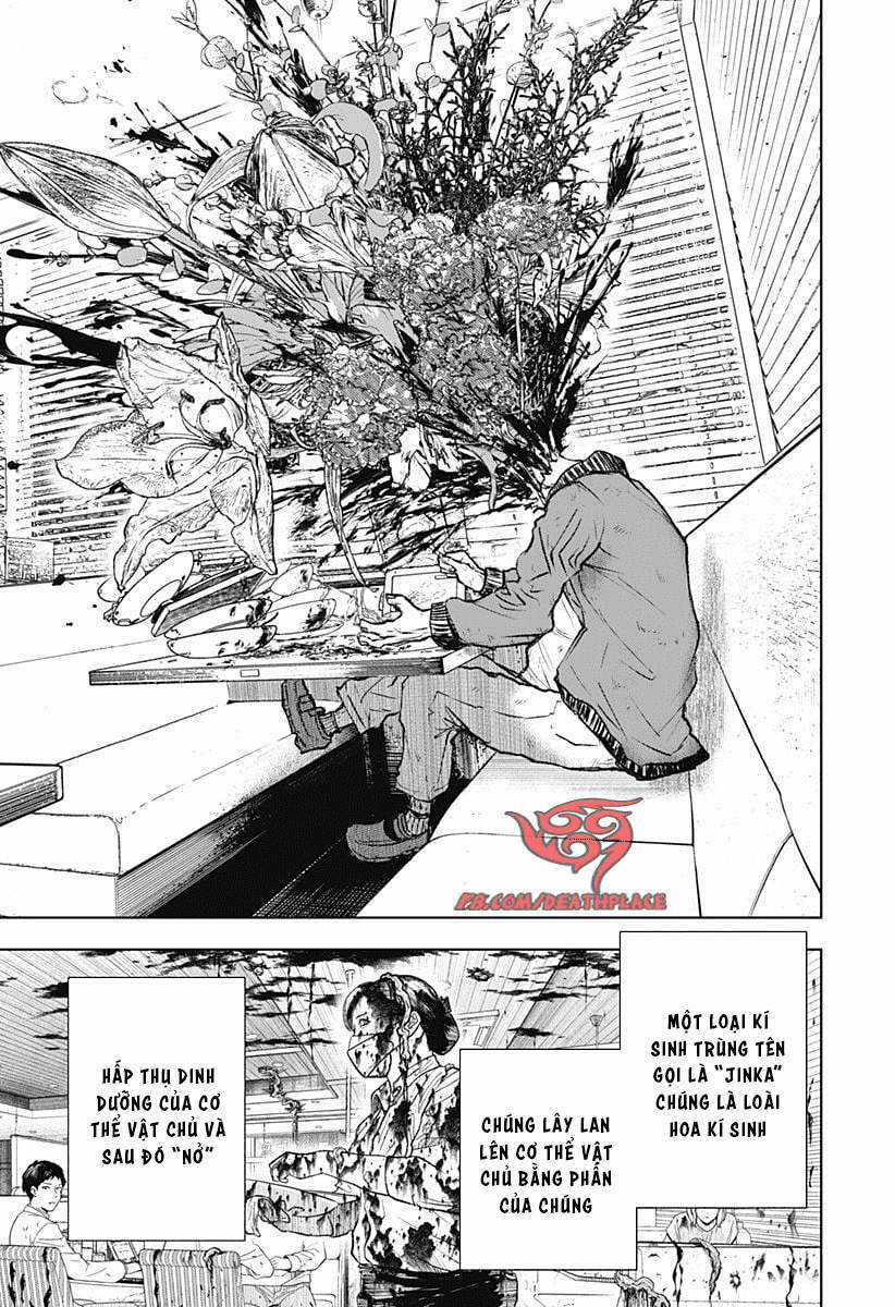 wild strawberry Chapter 1 trang 12