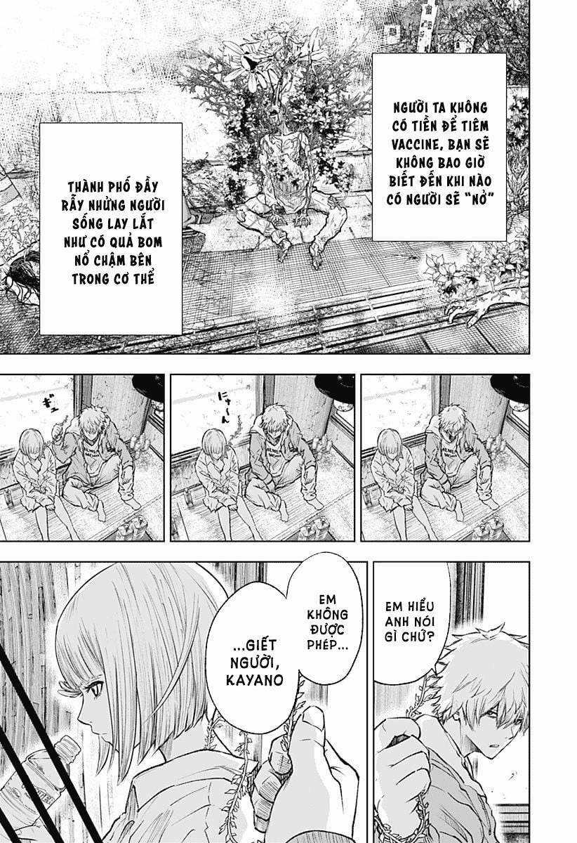 wild strawberry Chapter 1 trang 16