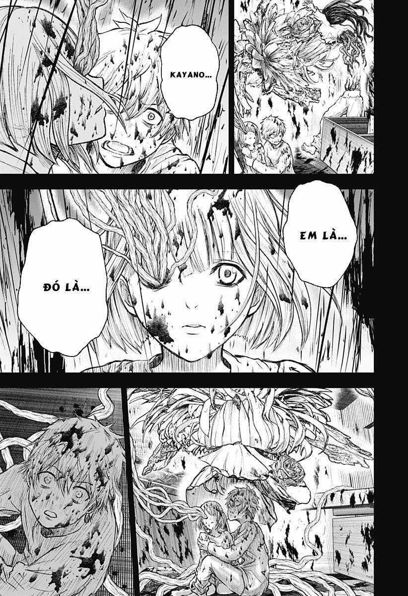 wild strawberry Chapter 1 trang 30