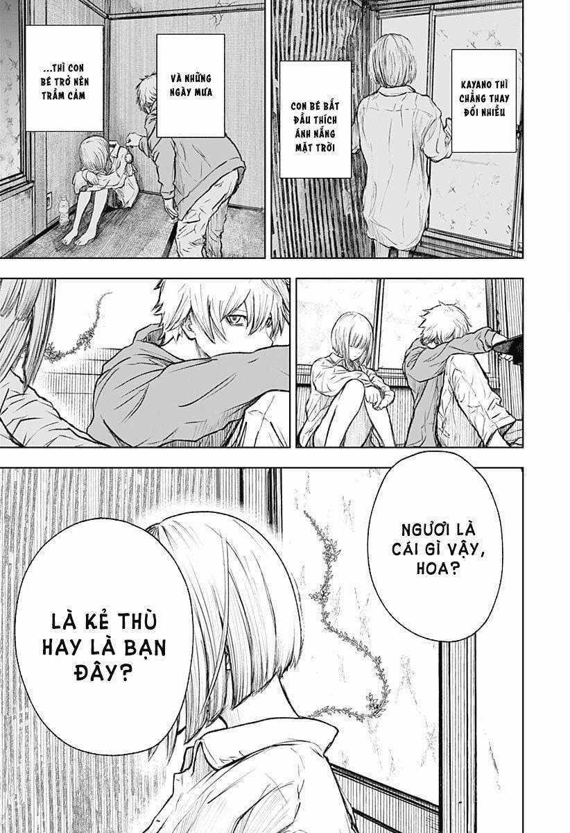 wild strawberry Chapter 1 trang 34