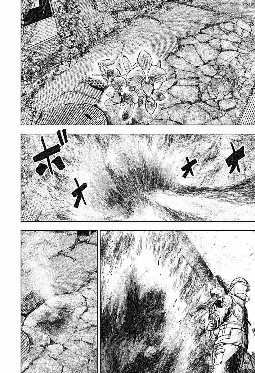 wild strawberry Chapter 1 trang 41