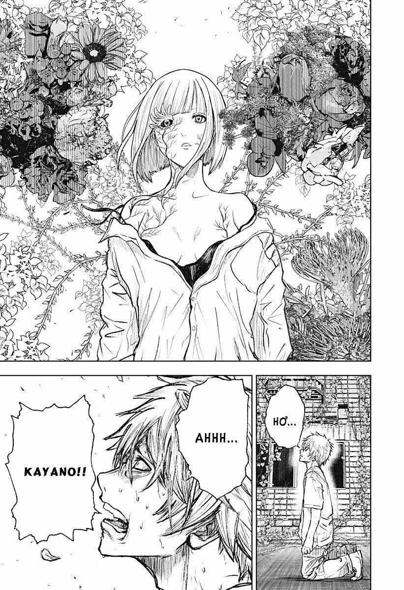 wild strawberry Chapter 1 trang 50