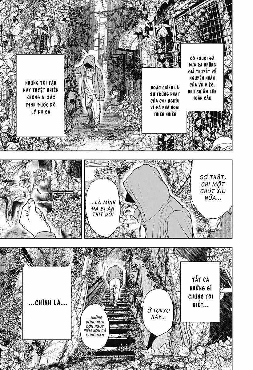 wild strawberry Chapter 1 trang 6