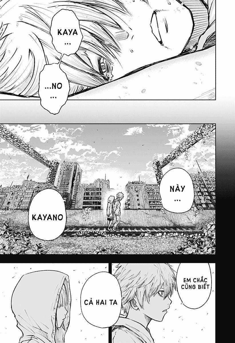 wild strawberry Chapter 1 trang 60